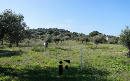 Terreno Agricolo Porto Rotondo – Vista Mare Golfo di Marinella