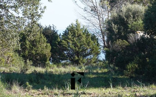 TERRENO AGRICOLO PANORAMICO VISTA MARE MILMEGGIU