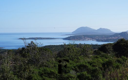 TERRENO AGRICOLO PANORAMICO VISTA MARE MILMEGGIU