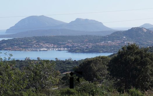TERRENO AGRICOLO PANORAMICO VISTA MARE MILMEGGIU