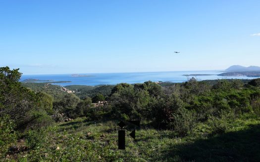 TERRENO AGRICOLO PANORAMICO VISTA MARE MILMEGGIU