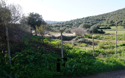 Terreno Agricolo Olbia – Via Ortos
